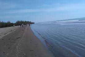 pantai losari brebes