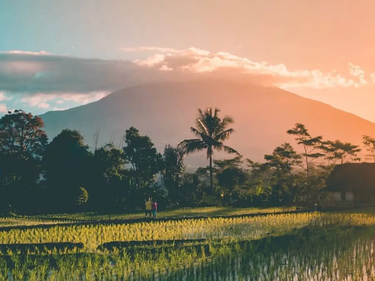 gunung cikuray