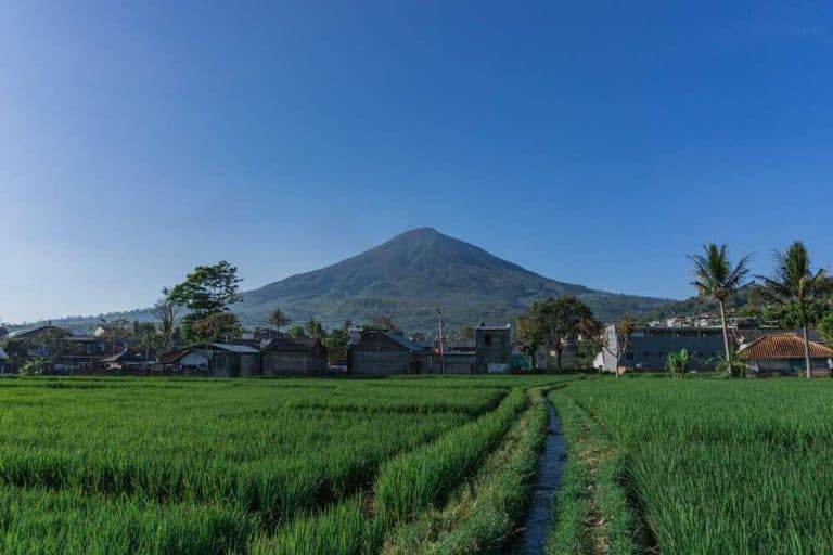 keindahan gunung cikuray